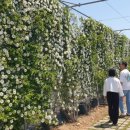 거제시농업개발원 이미지