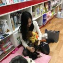 나밍밍 강아지네 이미지