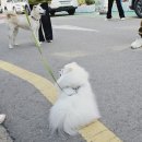 이룸독트레이닝 이미지