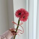 예플리 이미지