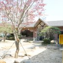 한마당한우촌 | 울산 언양불고기 거리 맛집 현지인 추천한 한마당한우촌 가족외식 후기