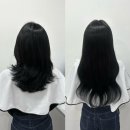 하치붙임머리 이미지