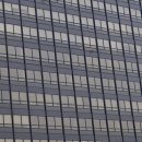 새희망 동물약국 이미지