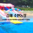 상룡농장 이미지