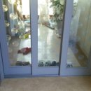 코아루 A 이미지