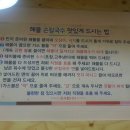 박승광해물칼국수 네이버블로그