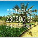 백설에듀빌 공인중개사사무소 | 주말 일요일 TV 방송편성표 230806