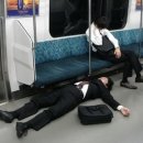 으르렁대 이미지