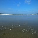 해송 - 보령시 해수욕장6길 28 | 해송