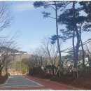 SK성공부동산공인중개사사무소 이미지