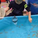 맹호태권도장 이미지