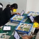 코딩레고블럭 이미지