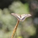 용와산성 이미지