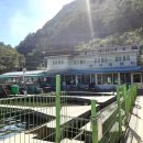 천동송어양식장횟집 이미지