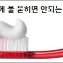 양치할 때 치약에 물 묻히면 안되는 이유 이미지