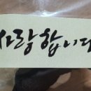 마야리본