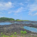 상만목장 이미지