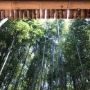 다비치콘도 사우나 이미지