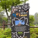 제황산공원(제황산부엉이) 이미지