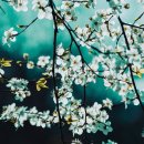 강화점 현대자동차 이미지