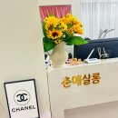 춘살롱 이미지