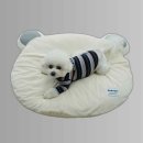 몰캉 쇼핑하우