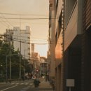 해피민박 이미지