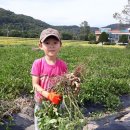 덕수농원 이미지