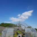 해맑은농장 이미지