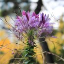 구지공원 이미지