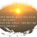 새해.2009.01.01.육삼공오.. 이미지