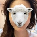 통일로768번길 | 일산 피부관리 추천, 수스킨케어 일산점에서 맞춤 케어 받은 후기