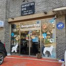 갱스터도그 이미지