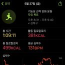 짐피닉스 이미지