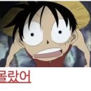 탑호프 | 호프 후기 스포o