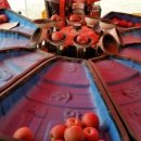 욱이네 농장 이미지