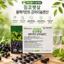 햇살마을 | 약사들이 설계한 징코햇살! 햇살이네마을 블랙커런트 감마리놀렌산 추천 후기