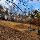 이호민선생 묘 및 신도비 이미지