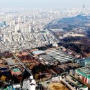 대구시청 세계일보