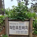 파인우드비치