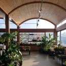 목련나무집 | 목련 보러 갔는데... 4월초 천리포수목원 꽃 상황 솔직 후기,입장료 할인꿀팁