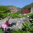 귀밤나무민박 이미지