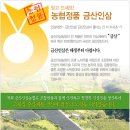 금산인삼농협 이미지