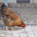 순호농장 이미지