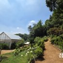 자연으로Ⅱ 이미지