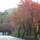 용마산입구 이미지