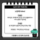 세일안경원 네이버블로그