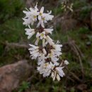 나무약품(주) 이미지