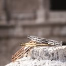 명품수호 이미지