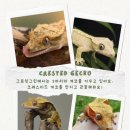 그린그로잉 이미지